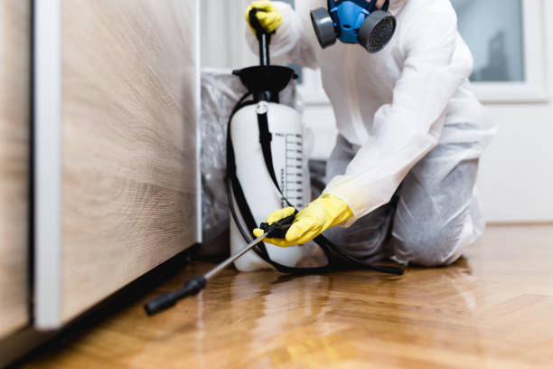 Best Pest Control for Businesses  in Pleasant Ridge, MI