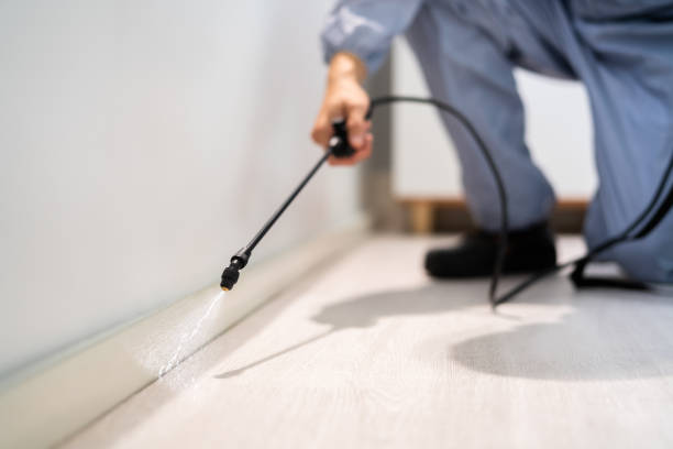 Best Termite Control Services  in Pleasant Ridge, MI