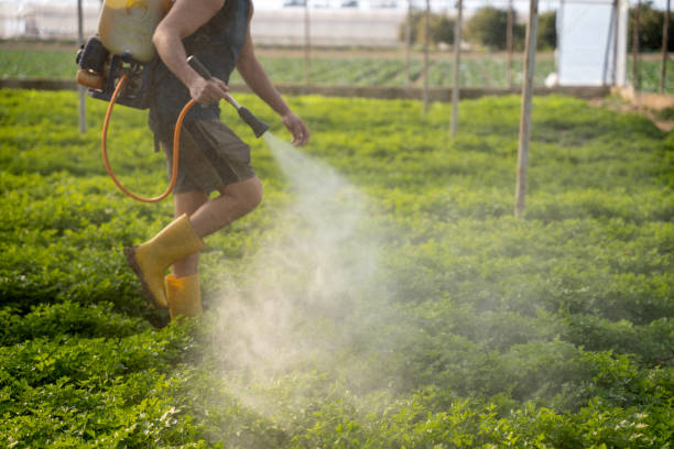 Best Wasp Removal Services  in Pleasant Ridge, MI
