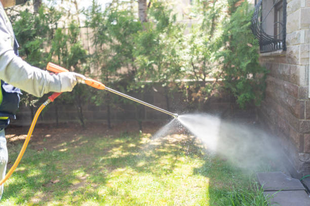 Best Local Pest Control Services  in Pleasant Ridge, MI