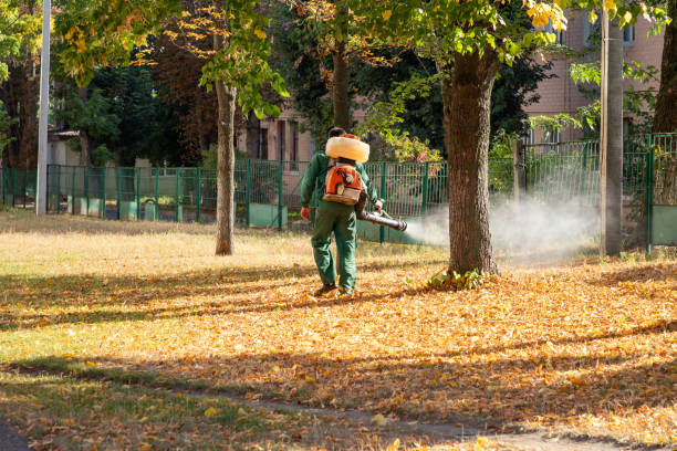 Best Rat Extermination Near Me  in Pleasant Ridge, MI