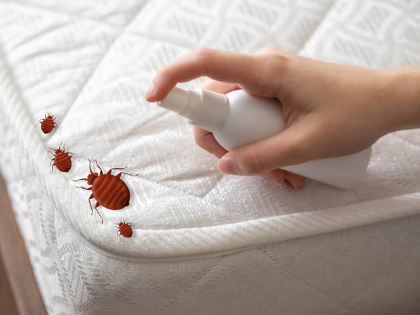 Pest Prevention Services in Pleasant Ridge, MI